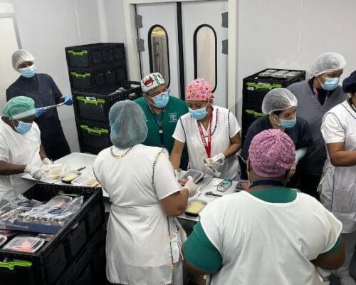 SANTO TOMAS 4 SANTO TOMAS 4